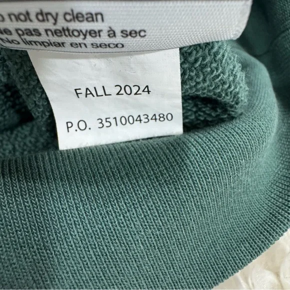 Carhartt Women's Tencel Fiber Series Loose Fit Sleeve Graphic Sweatshirt Balsam - Picture 10 of 11